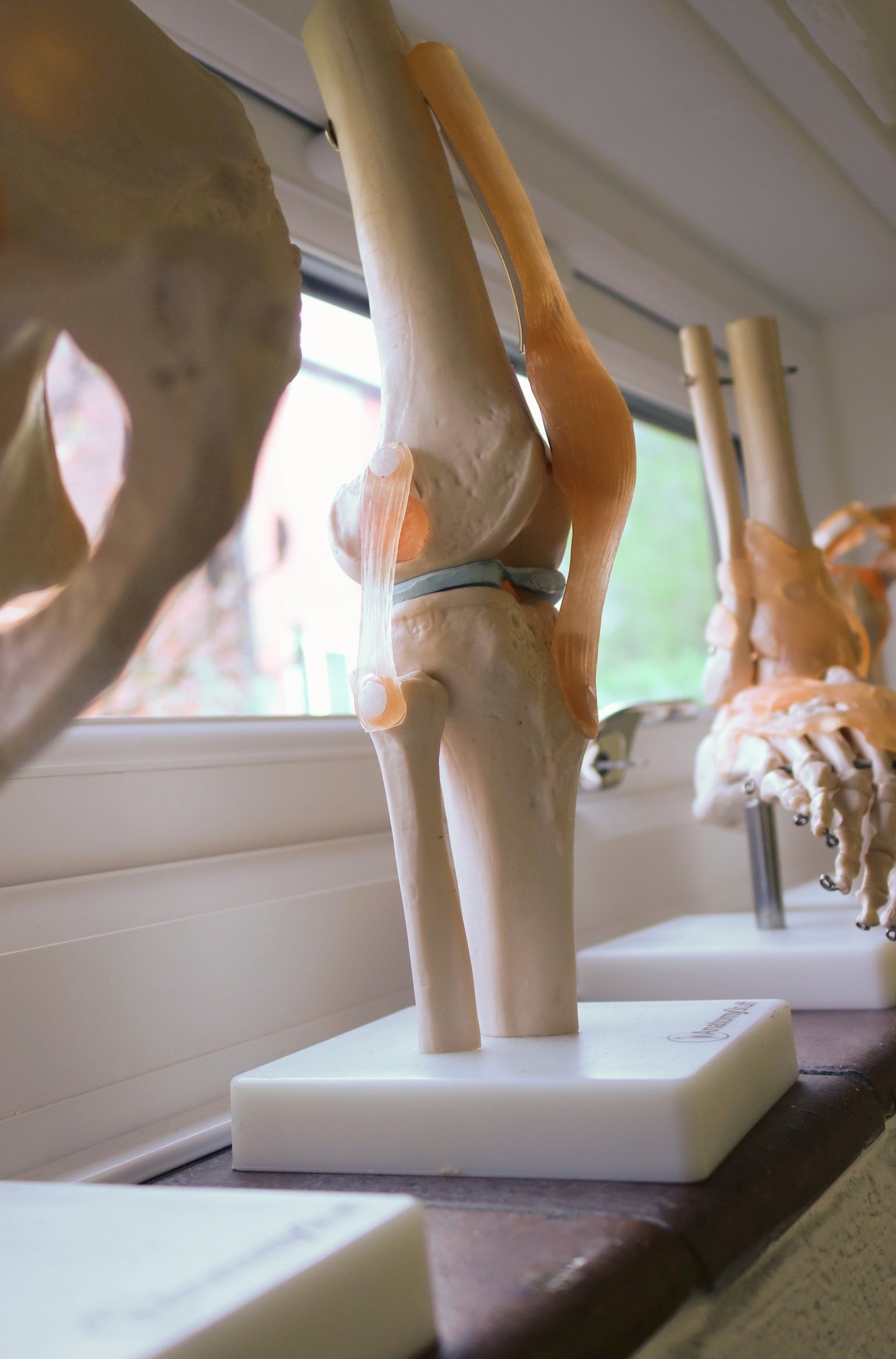 Basingstoke Osteopath